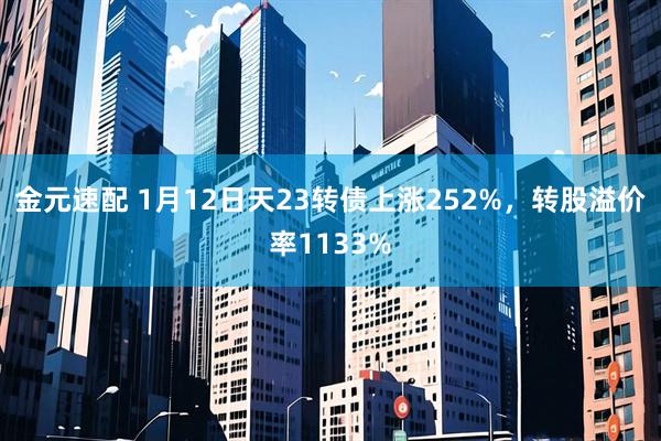金元速配 1月12日天23转债上涨252%，转股溢价率1133%
